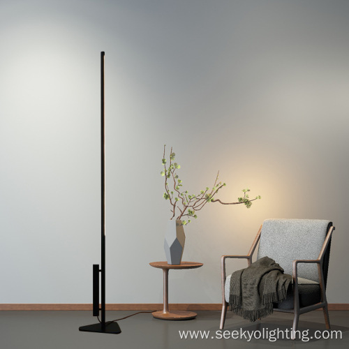 Minimalist Linear Floor Lamp